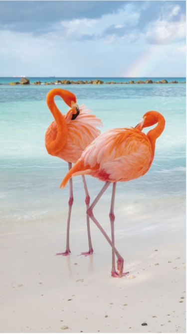 Beach Towel-Flamingo